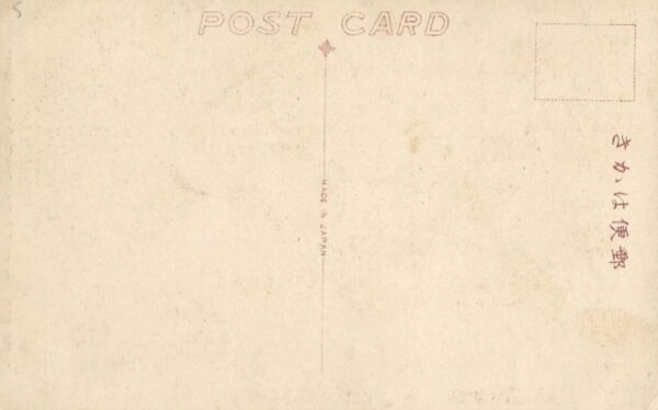 The Statue of Sir Stamford Raffles - Singapore (Postcard) - Image 2